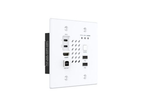 Chazy 4K Wall Plate